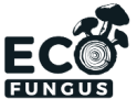 Eco Fungus šitake sēnes